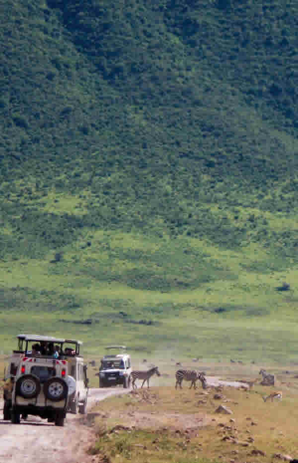 Ngorongoro