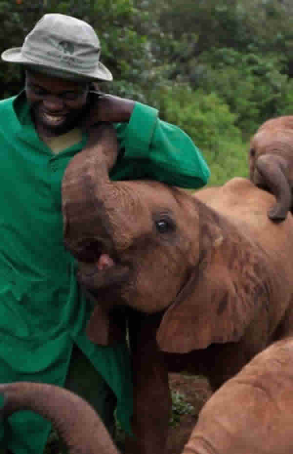 David Sheldrick