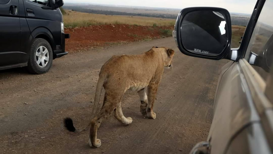 Nairobi National Park