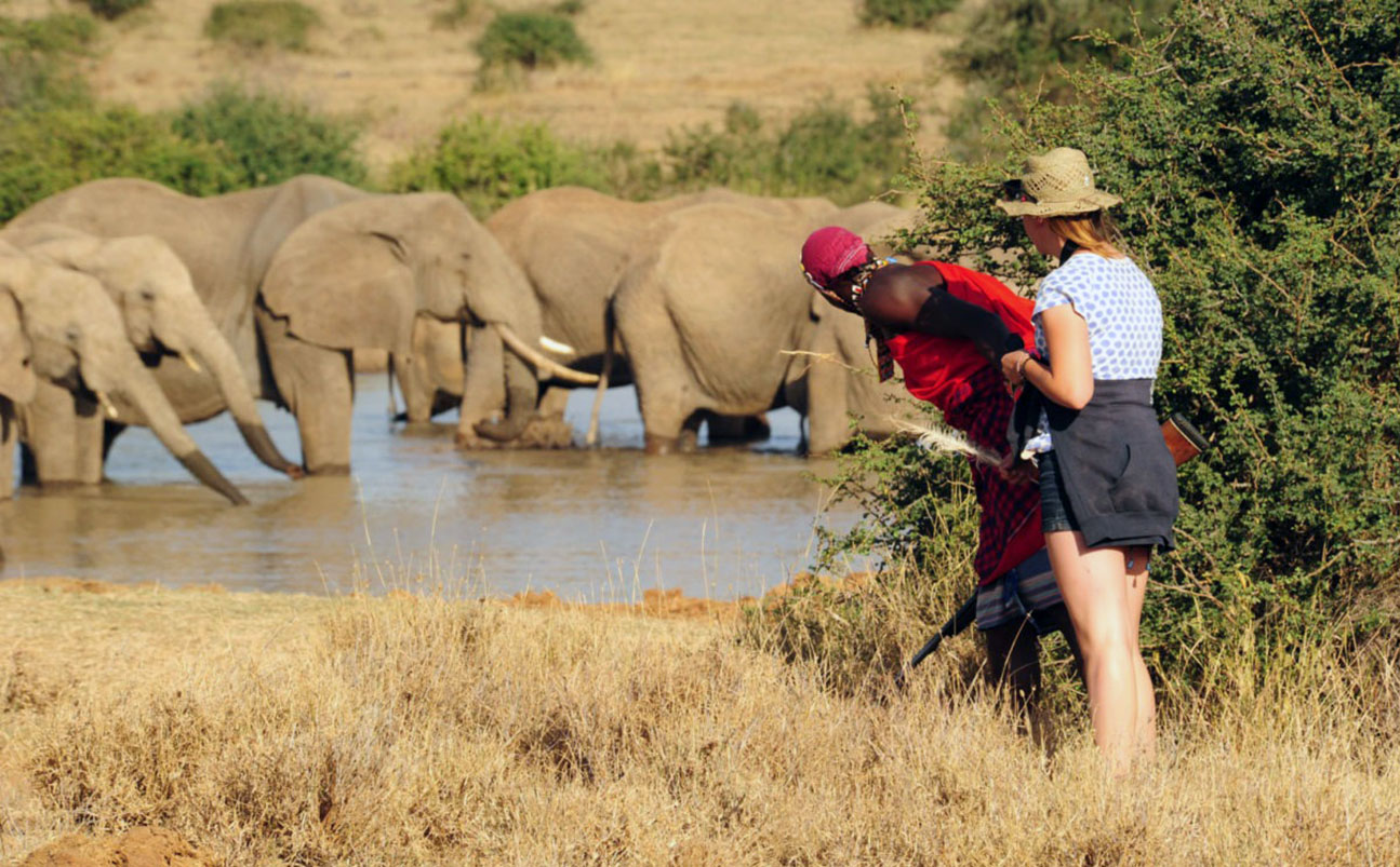 Hiking Safaris