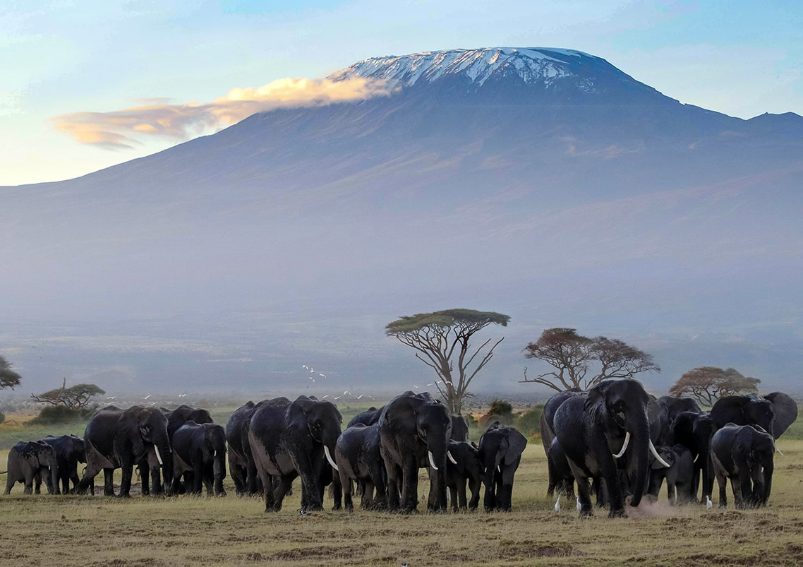 Amboseli National Park