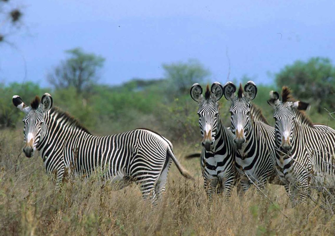 Laikipia Plateau