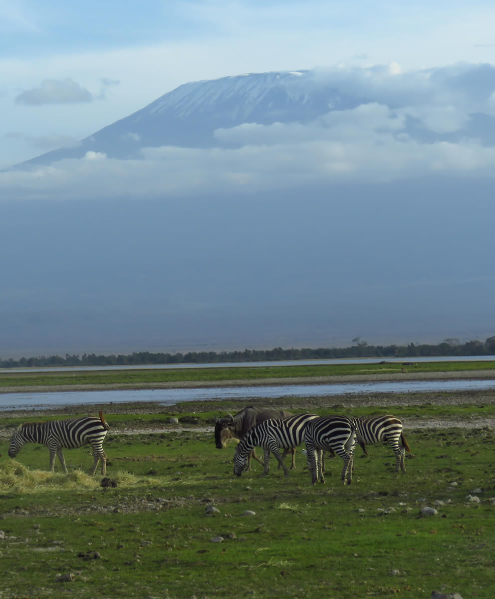 Amboseli Safari