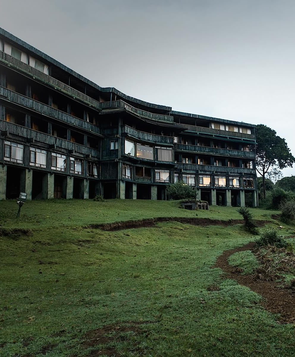 Tree Hotel Experience